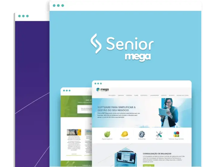 Case de Sucesso: Mega Sistemas Corporativos